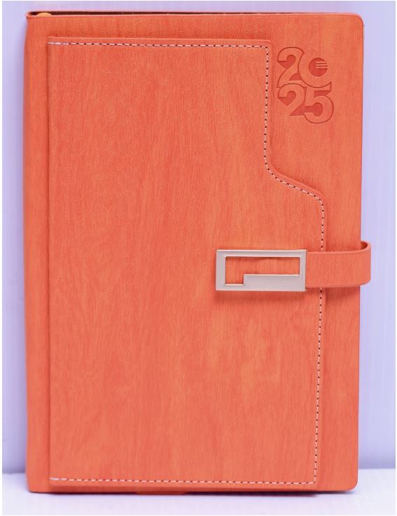 B5 2025 Diaries - Image 6